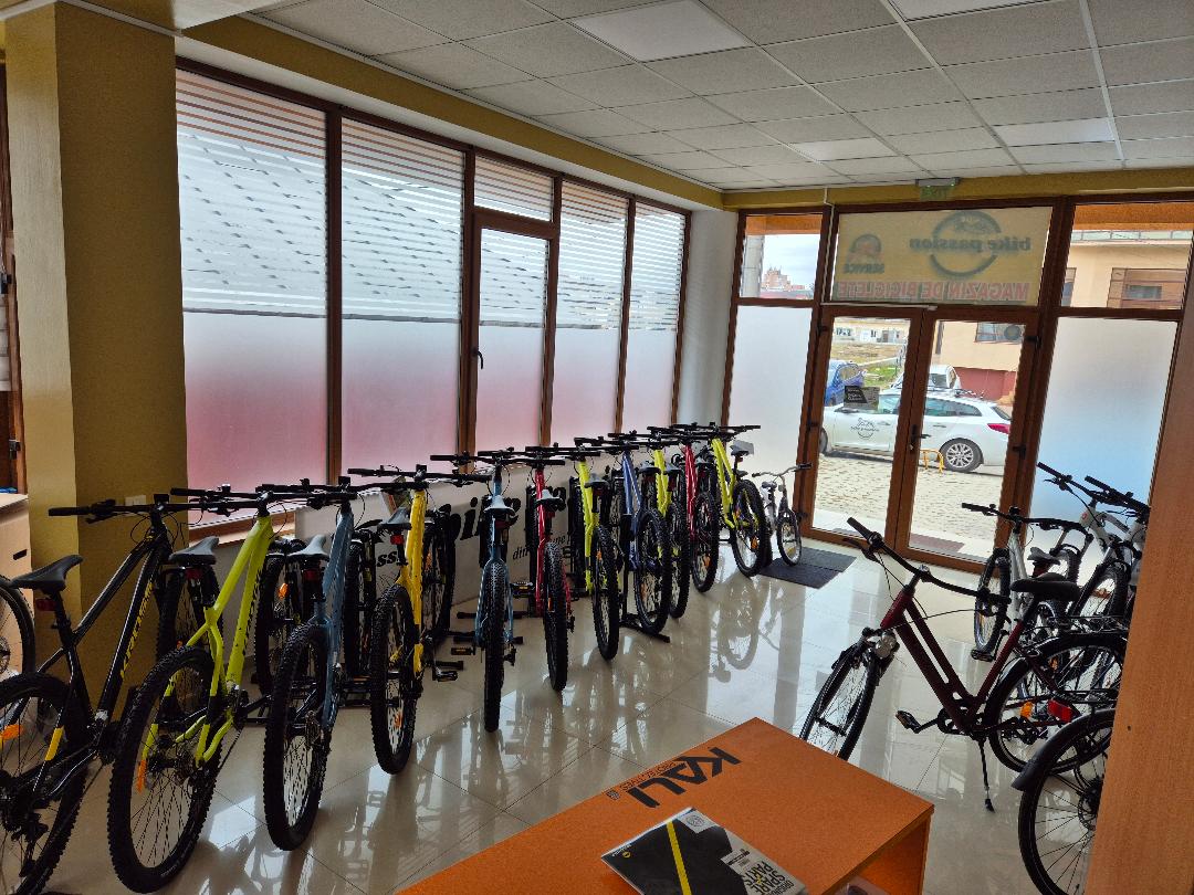 Bike left side Bacău